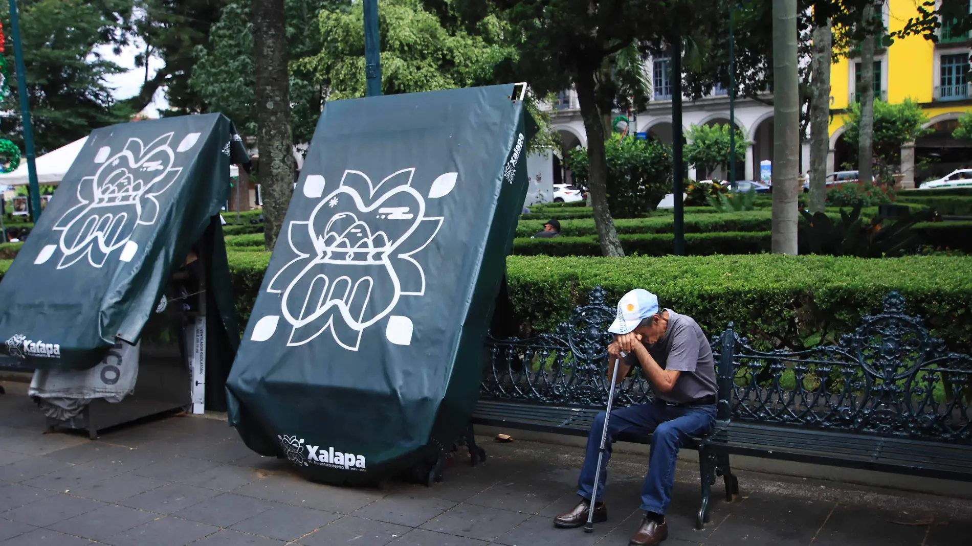 Adultos mayores olvidados en Veracruz: entidad carece de espacios para darles cuidados